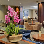 Orchids at the Kensington Close Hotel