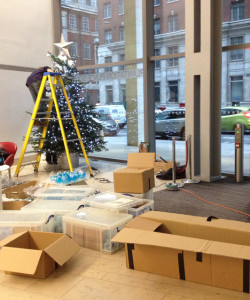 Christmas trees - London offices