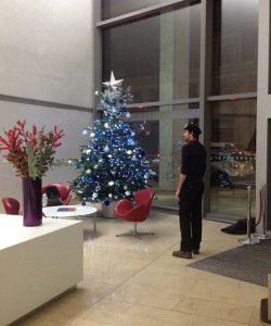Christmas trees - London offices