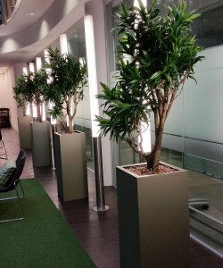 Indoor landscaping - London office
