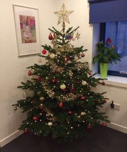 Christmas trees for offices